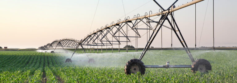 Tuning de ambiente melhora desempenho da Valmont