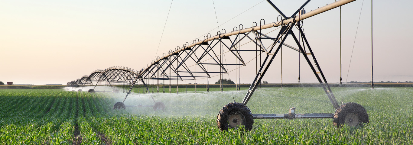 Tuning de ambiente melhora desempenho da Valmont